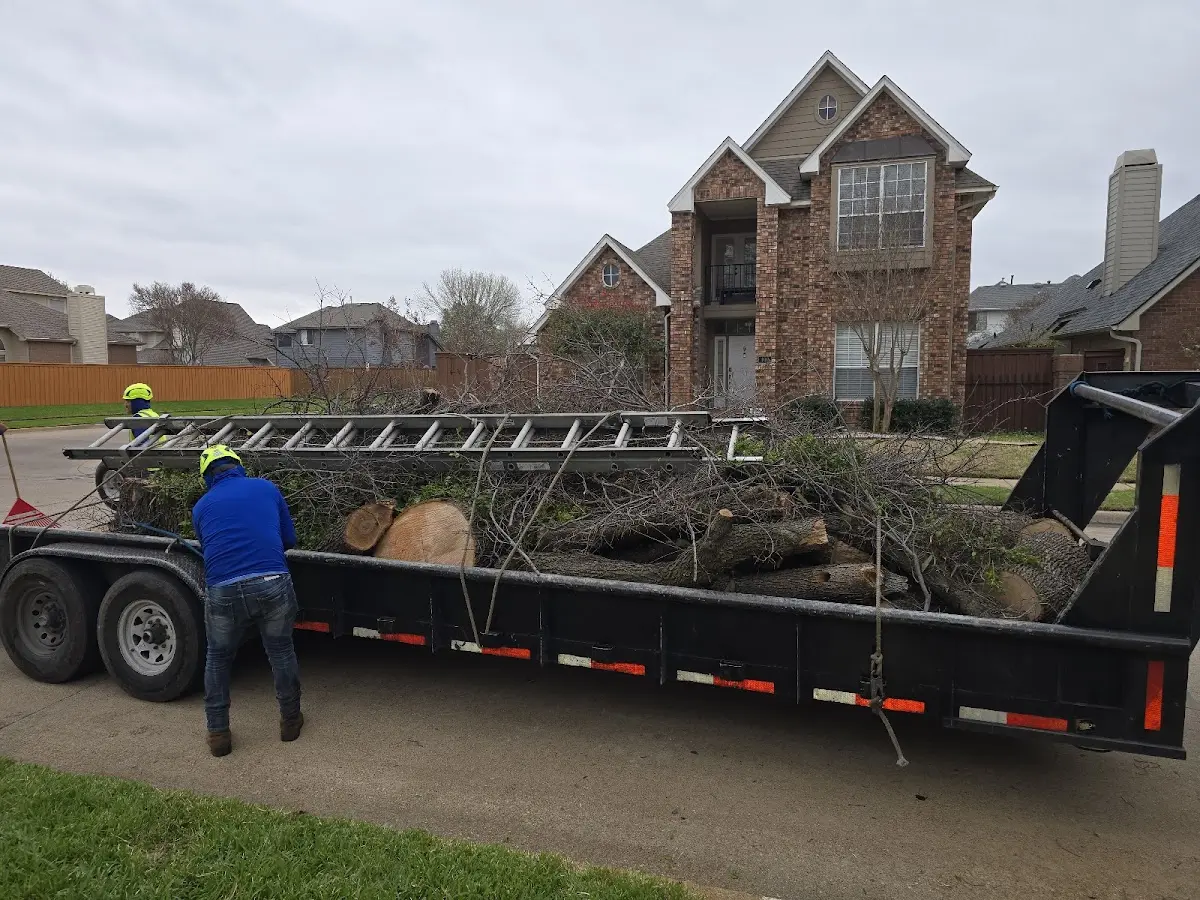 Expert Lot Clearing with proper safety equipment in Crosslake